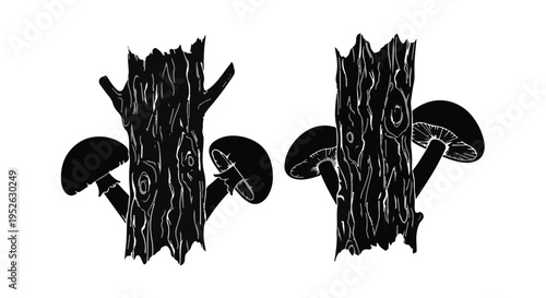 Mushrooms growing on tree trunks symbolize the resilience of forest ecosystems.