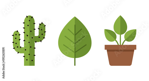 Green plants and cactus illustration set.
