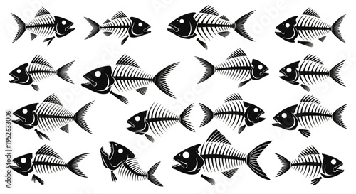 Diverse collection of fish skeleton illustrations showcasing detailed anatomical structures of aquatic creatures for educational and artistic designs