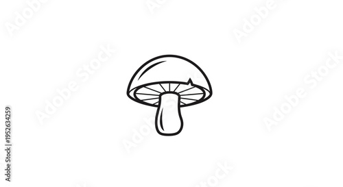 Detailed illustration of a mushroom.