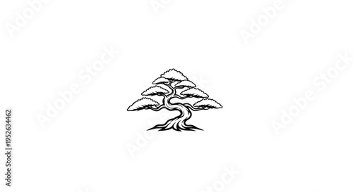 Detailed illustration of a pine tree.
