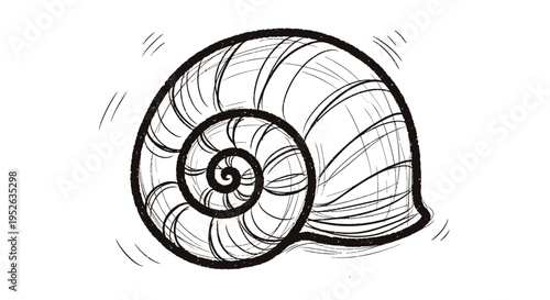 Vector snail shell illustration