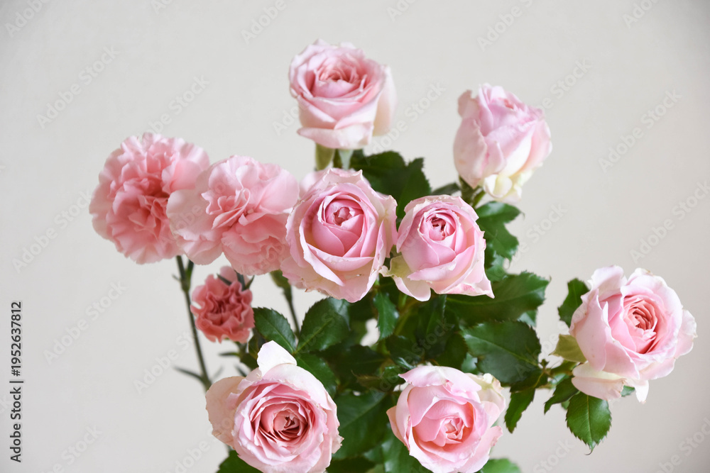 Fototapeta premium 薔薇とカーネーション