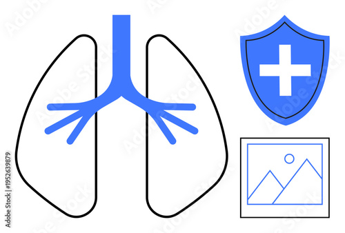 Healthcare, medicine, respiratory health, lung care, medical safety, pulmonary services. Simplified ion of lungs, shield with cross and image frame. Respiratory health and medical safety theme