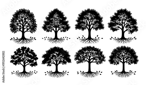 Tree silhouettes with roots foliage and fallen leaves vector set isolated on white background