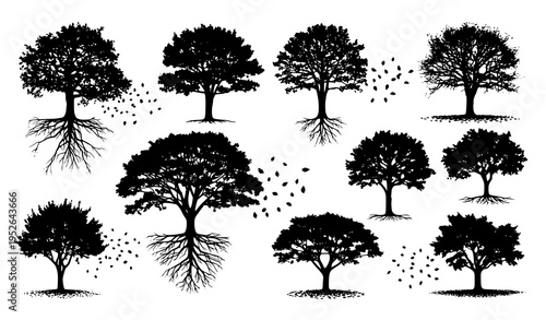 Natural tree silhouettes with roots and falling leaves vector in dynamic composition isolated on white