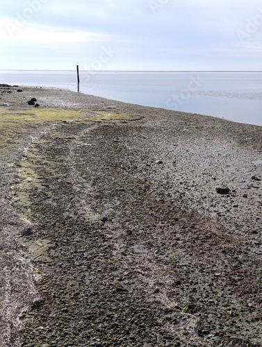 low tide at the beach