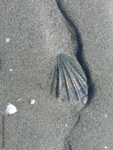 beach and wet sand in shallow water