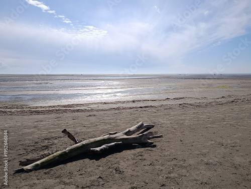 low tide at the beach