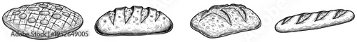 Vintage hand drawn engraving of several types of fresh crusty bread loaves in a row