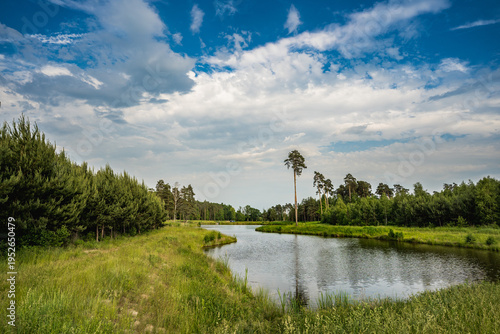 Fotografía Forest retention pond surrounded by greenery during summer