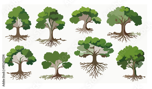 Organic green tree and root vector illustration with natural shapes isolated on white