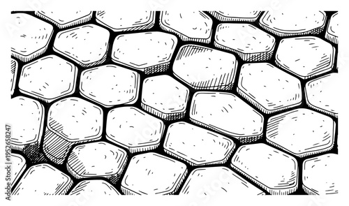 Detailed hexagonal stone pavement texture in vintage hand drawn etching style