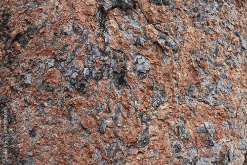 Фотография Textured Rock Surface: A detailed image of a weathered rock surface, showcasing intricate textures, colors, and geological patterns