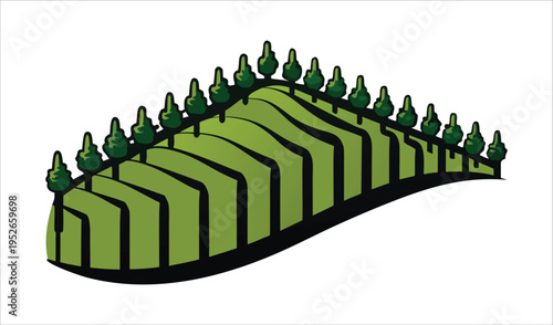 Stylized green hillside with terraces and pine trees illustration