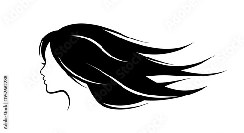 Silhouette Profile Of Woman With Flowing Black Hair