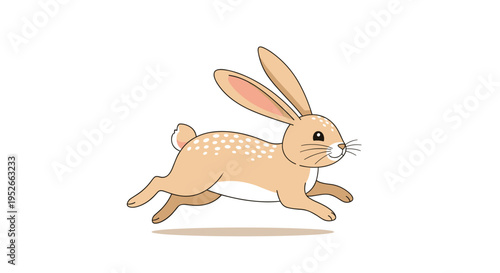 Cute brown rabbit with white spots running quickly across a white background with long ears and a fluffy tail.