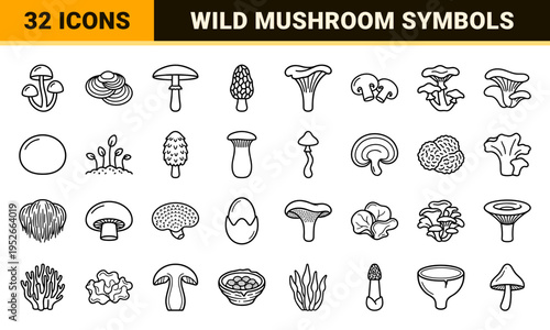 Wild Mushroom Species and Forest Fungi Monoline Outline Graphics for Botanical Identification and Gastronomy Design