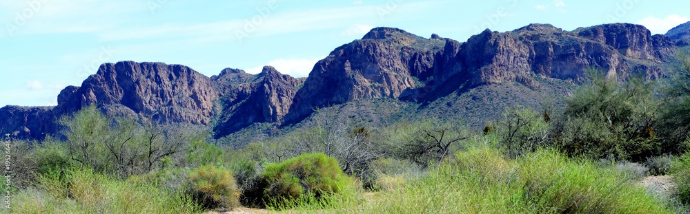Fototapeta premium Salt River Recreation Area Arizona