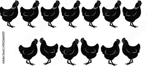 Chicken and rooster silhouette collection in different poses black poultry farm bird vector icons set isolated on white background for agriculture design