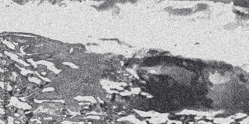 Abstract monochrome textured background with organic, fluid shapes and a prominent dark central mass against a speckled white and grey surface, evoking a natural or cellular pattern