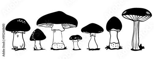 Hand-drawn mushroom collection: black ink outline set of forest fungi, amanita, fly-agaric, boletus. Monochrome sketch with detailed gills and stems, isolated vector illustration on white