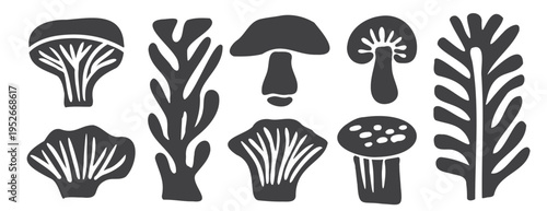 Minimal mushroom collection: bold vector silhouette set of forest fungi, chanterelle, oyster, amanita and fern. Gray botanical linocut illustration, modern hand-drawn woodcut isolated on white
