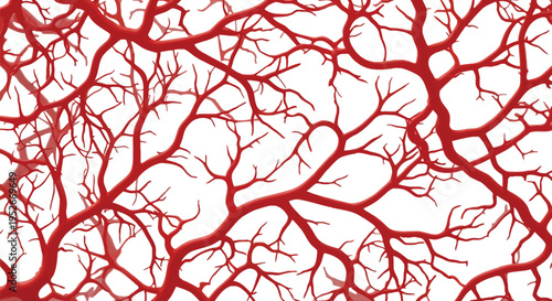Red human blood vessel medical illustration