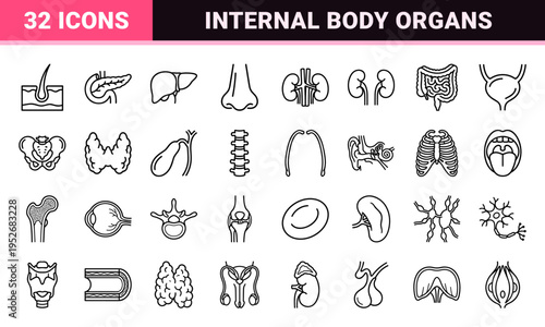 Human Internal Organs and Biological Anatomy Technical Monoline Outline Symbols for Medical Educational Infographics and Healthcare Design