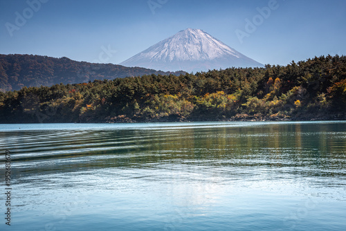 西湖に映る雪化粧の富士山と秋色の森林風景（山梨県富士河口湖町）