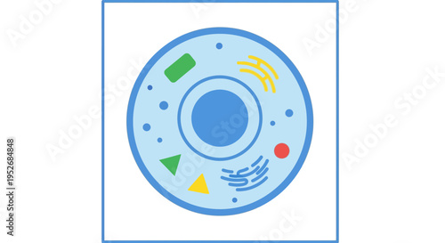 Illustrated diagram of a biological cell with internal structures and circular shape, design