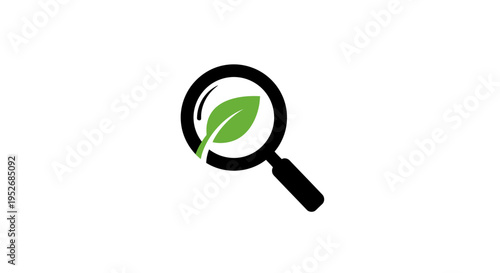 Magnifying glass with a leaf inside, focused on nature, concept of green research or study