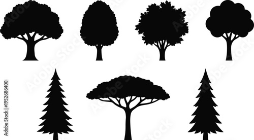 Set of black tree silhouettes, deciduous and coniferous forest elements, oak, maple, pine, and fir wood shapes isolated on white background