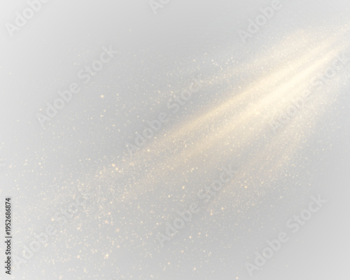 Soft golden spotlight highlights sparkling dust floating gently in the air. PNG overlay creates dreamy light effect. Perfect for studio or stage visuals.
