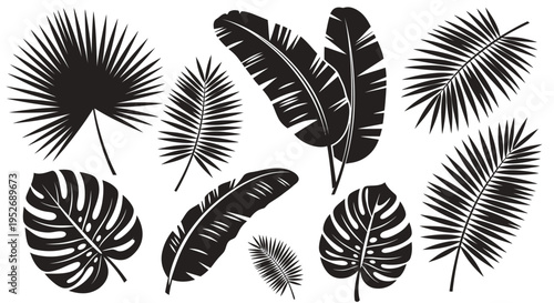 Assortment of Tropical Palm and Banana Leaves Silhouettes isolated white background