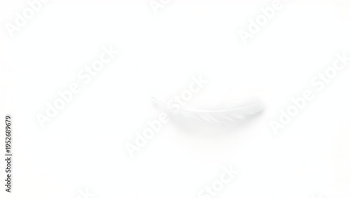 drifting. Minimal white background with two gently drifting feathers, tranquil scene. wellbeing guides, coaching materials, designed for coaching and self-improvement content.