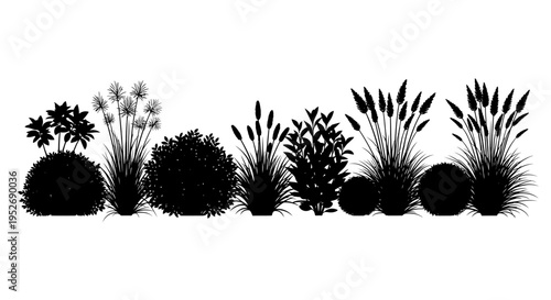 Diverse Set of Garden Plants and Ornamental Grass Silhouettes, isolated white background.