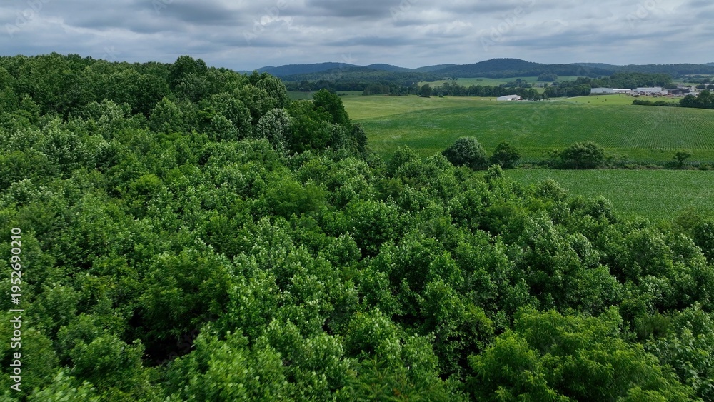 Fototapeta premium Beautiful Lush Green Landscape in Peaceful Rural Countryside