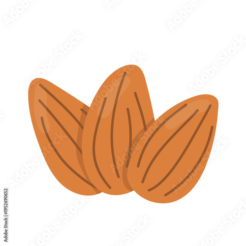 almond nuts, natural healthy snack, raw organic almonds, plant-based food ingredient, minimal composition- vector illustration