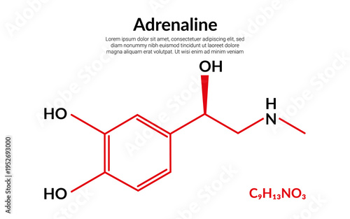 Adrenalin or epinephrine, hormone and medication, molecular structure formula, suitable for education or chemistry science content. Vector illustration