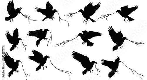 Silhouettes of birds in flight.