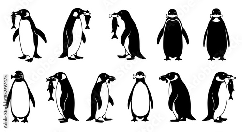 Collection of penguins in various poses.