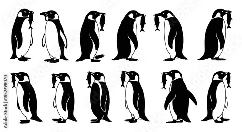A black and white illustration featuring twelve penguins, some standing upright and others holding fish in their beaks, arranged in two rows.