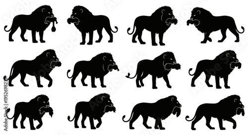 Collection of lion silhouettes walking.