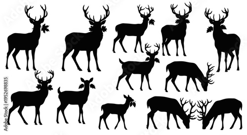 Collection of black deer silhouettes in various poses, including standing and grazing, with and without antlers, on a white background.