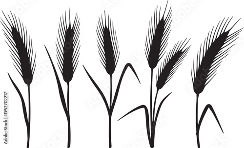 Black and white illustration of five cattail plants with detailed texture and stems on a plain white background