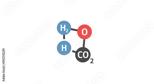 Molecular structure illustration of a chemical formula on a plain white backdrop