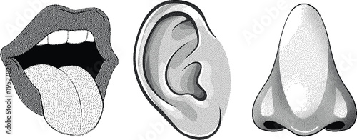 Halftone Human Senses Mouth Ear Nose Vector Illustration .