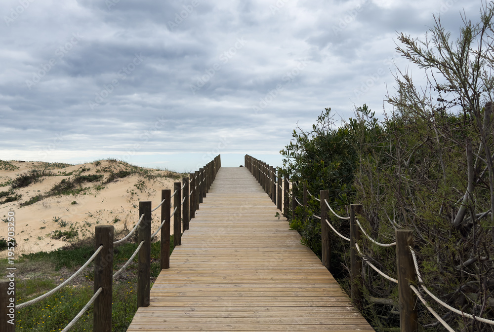 Fototapeta premium Sturdy wooden stairs rise from the sandy beach, surrounded by tall grasses, leading to the top of the dune under a cloudy afternoon sky. The scene is calm and inviting.
