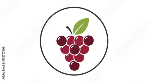 A simple graphic illustration of a bunch of red grapes with a green leaf and stem, enclosed in a black circle on a white background.